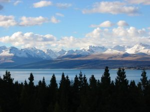 jonz 047_2nz.jpg