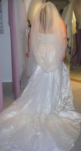 Dress back with veil.jpg