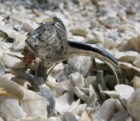 Ring-6135.jpg