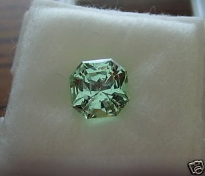 Merelani Mint Garnet3.JPG