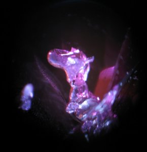 spinel_bubb_00_w.jpg