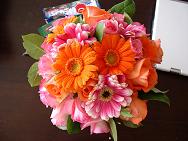 tiny orange-pink-1111.JPG