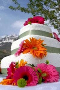 daisy-wedding-cakes-4.jpg