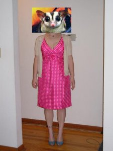 kat.pinkpolka.dress.JPG