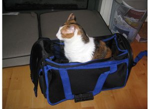 gretchieincarrier15.jpg