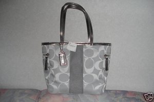 silver coach bag.jpg