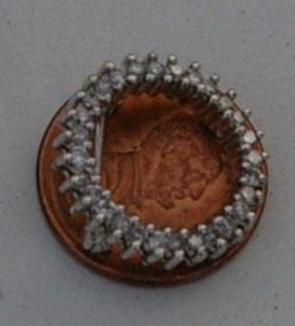 tiny pinonpenny.JPG