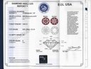 EGL Cert.jpg