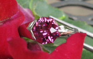 garnet4327a.JPG