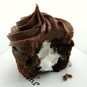 cupcake cream photo.jpg