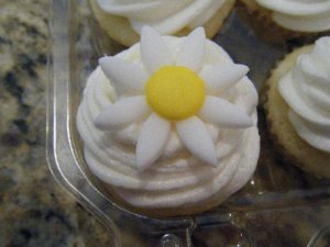 daisycupcakes.jpg