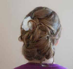 hairtrialbacknoveil.JPG