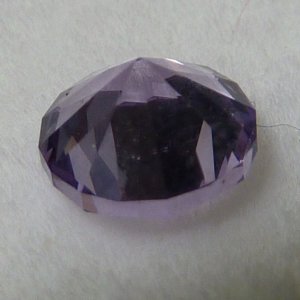 LavSpinel627.jpg