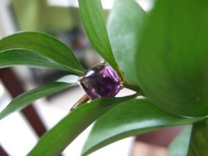 Amethyst Ring 027a.jpg