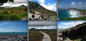 IrelandNatureCollage2.jpg