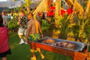 shimmerluau4.jpg