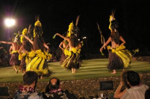 shimmerluau6.jpg