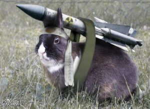 Armed_Bunny3525235235.jpg