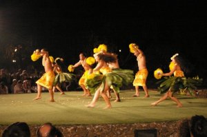 shimmerluau7.jpg