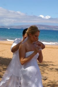 shimmersweddinginmaui9.jpg