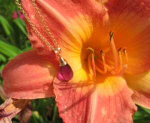 AmDaylily6901.JPG