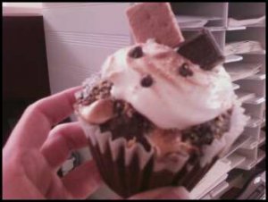 smorecupcake.jpeg