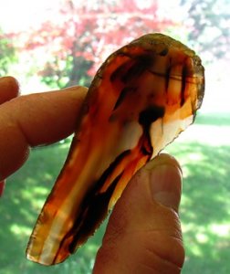 Montana Sepia agate.jpg