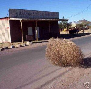 454tumbleweed1.jpg