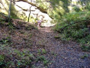 hikingmatth20091.jpg