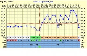 chart cycle 09092009.JPG