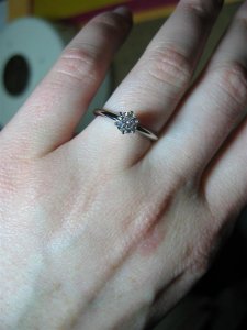 ring and tart 020 (Large).jpg