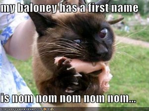 funny-pictures-balogna-first-name-nom.jpg