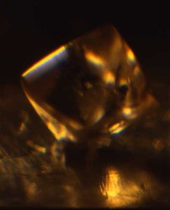 diamondportrait3.jpg