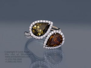 two stone ring 987766548900876.jpg