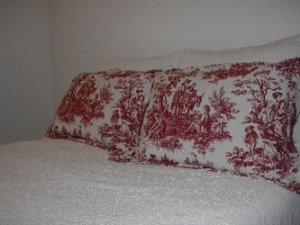 Toile Pillows Shams.JPG