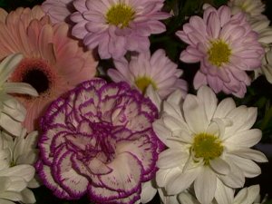 73056 birthday flowers.JPG