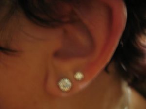 lmf67ear1.JPG