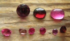 RedsandRubies7379.jpg