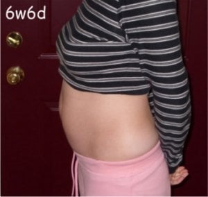 6w6d.jpg