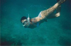 freediving333.jpg