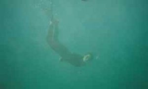 freediving567.jpg