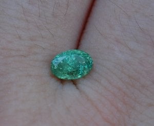 kiz-mcgdemantoid3.jpg