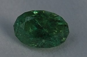 kiz-mcgdemantoid2.jpg