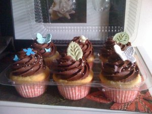 firstcupcakes2010.jpg