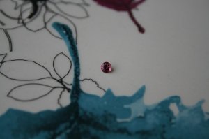 rhodolite resized.jpg