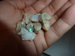 Welo Opal Rough  1310.jpg