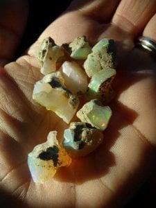 Welo Opal Rough  1310 (1).jpg