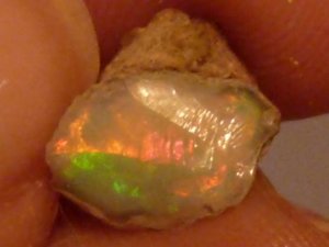 Welo Opal Rough  1307.jpg