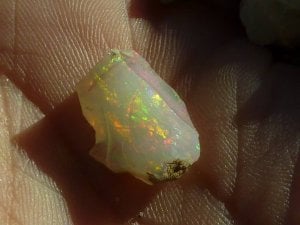 Welo Opal Rough  1311.jpg