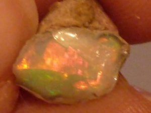 Welo Opal Rough  1317.jpg